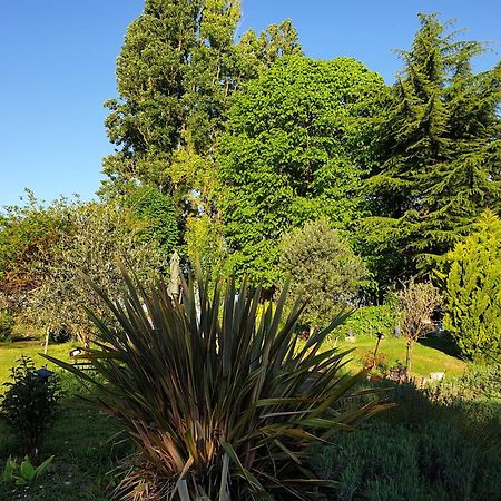 La Tour Du Raygnier Bed & Breakfast Verneuil-le-Chateau Bagian luar foto
