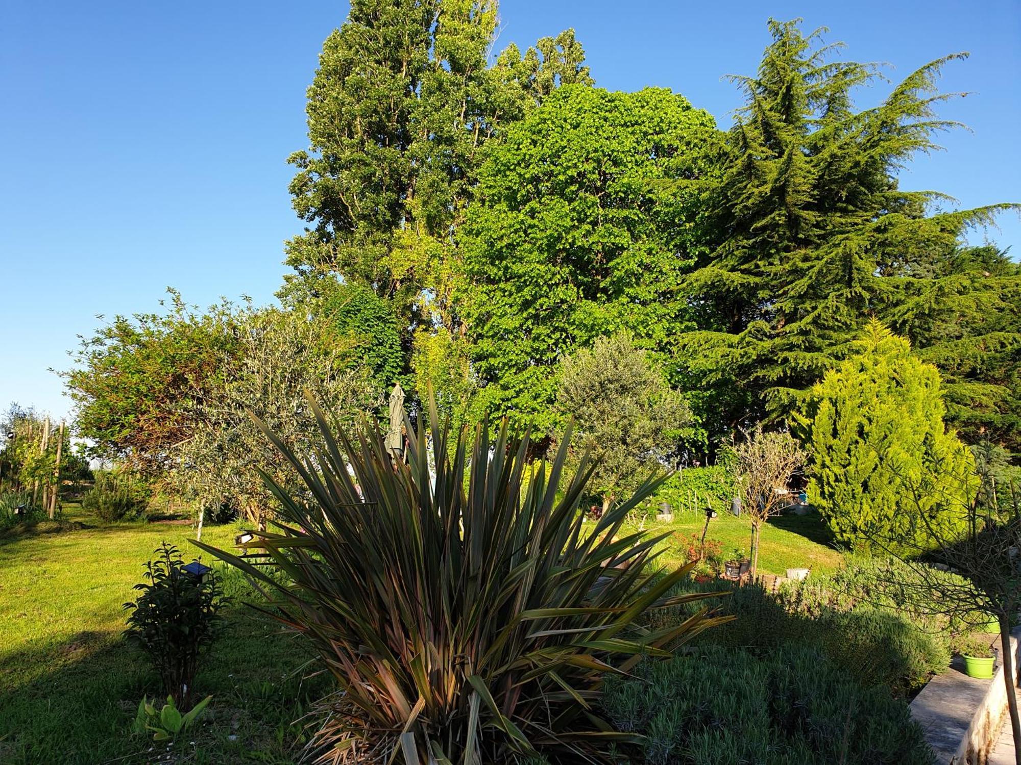 La Tour Du Raygnier Bed & Breakfast Verneuil-le-Chateau Bagian luar foto