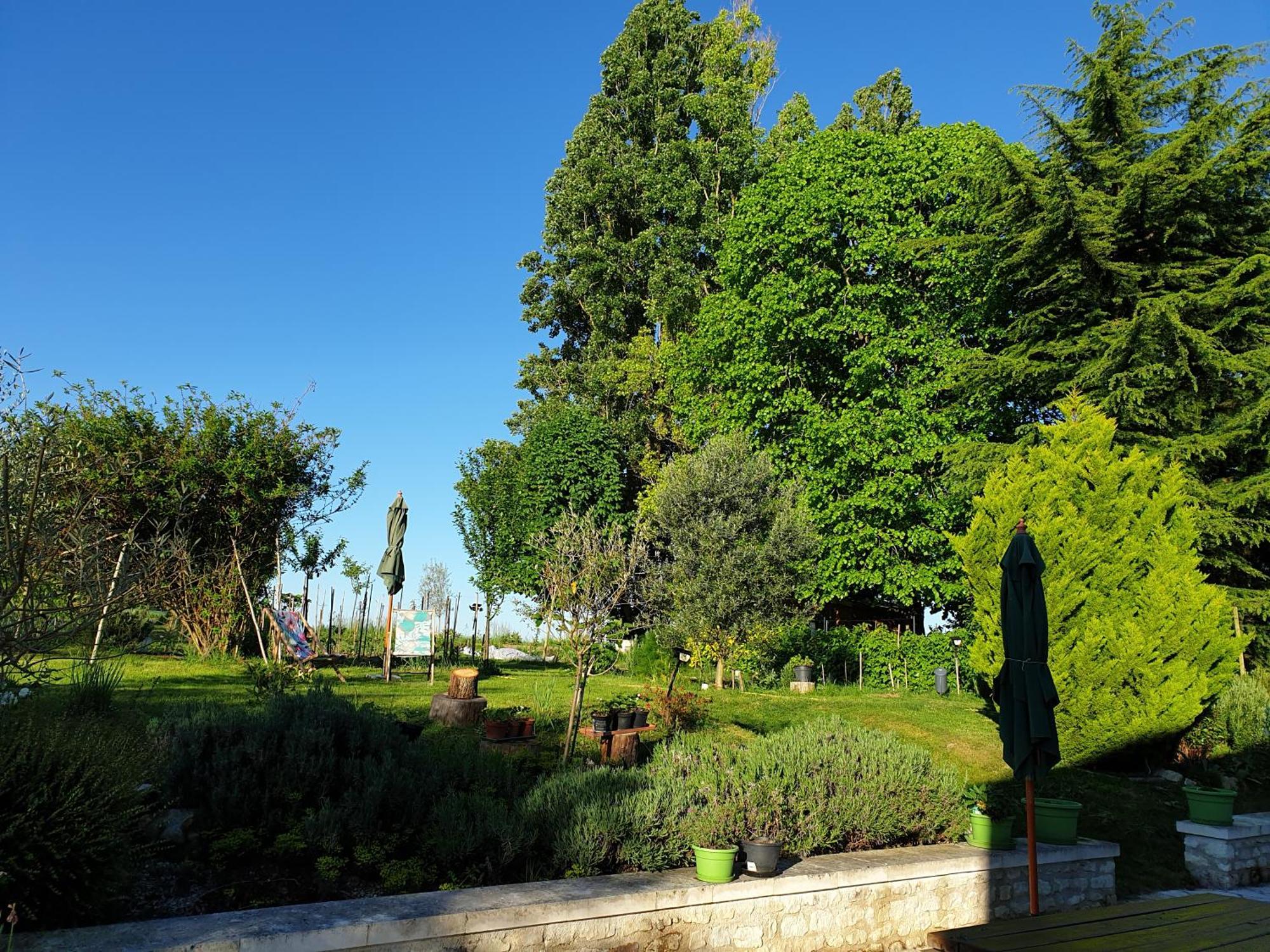 La Tour Du Raygnier Bed & Breakfast Verneuil-le-Chateau Bagian luar foto